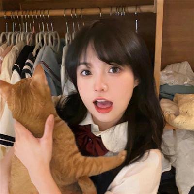 芬奇达
